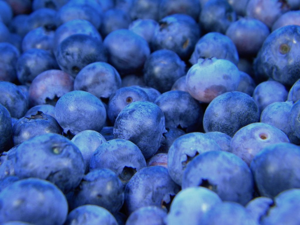 blueberries-1245724_1920